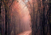 星空体育：韩国游泳小天王最强主项收世锦赛门票 世界大赛要冲孙杨亚洲纪录.