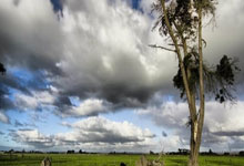 星空体育：NBA大嘴巴丨美国杨毅：詹姆斯只对批评敏感 我夸他的话毫无意义.