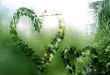 天下足球拜仁慕尼黑.